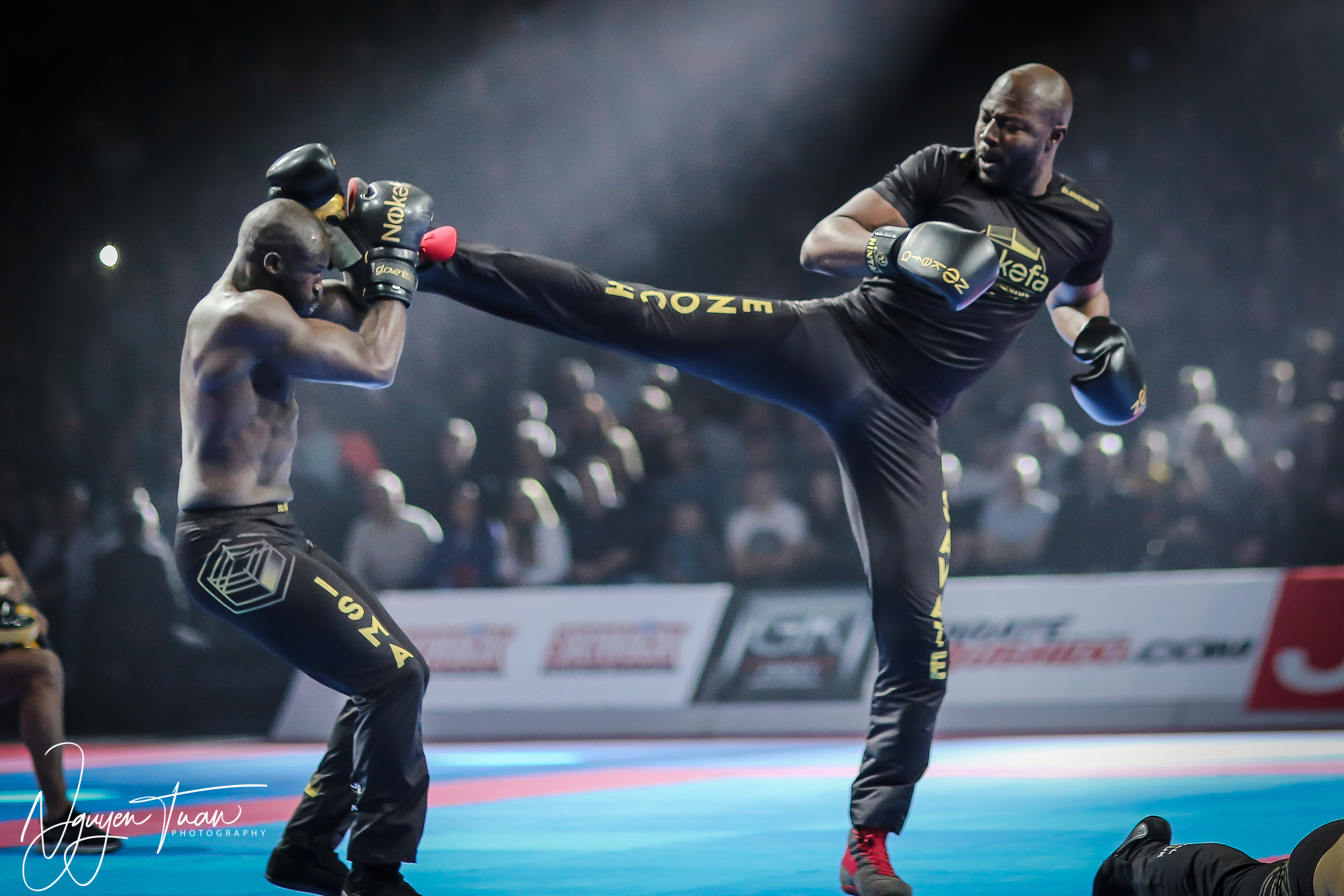 20190324 Festival des Arts Martiaux 2268